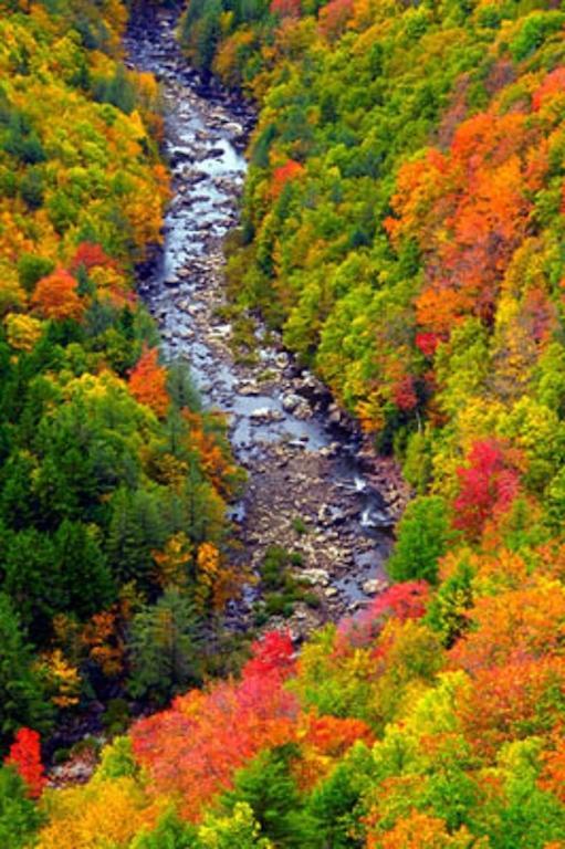 Blackwater Falls State Park Lodge Davis Luaran gambar